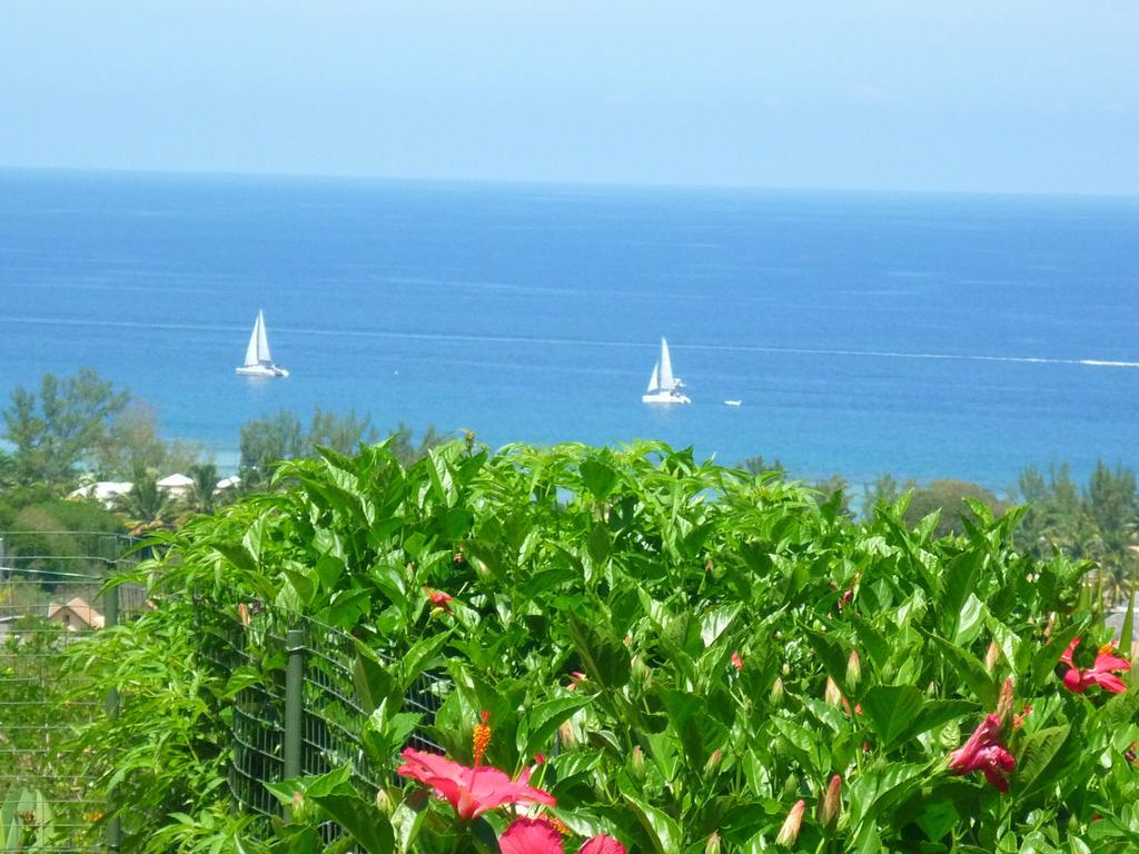 Apartament Flamboyant Ocean View - Ex Hillside Haven Tamarin Zewnętrze zdjęcie